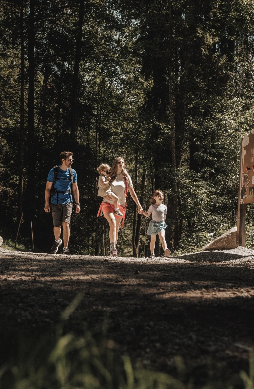 Familie im Wald Familie im Wald